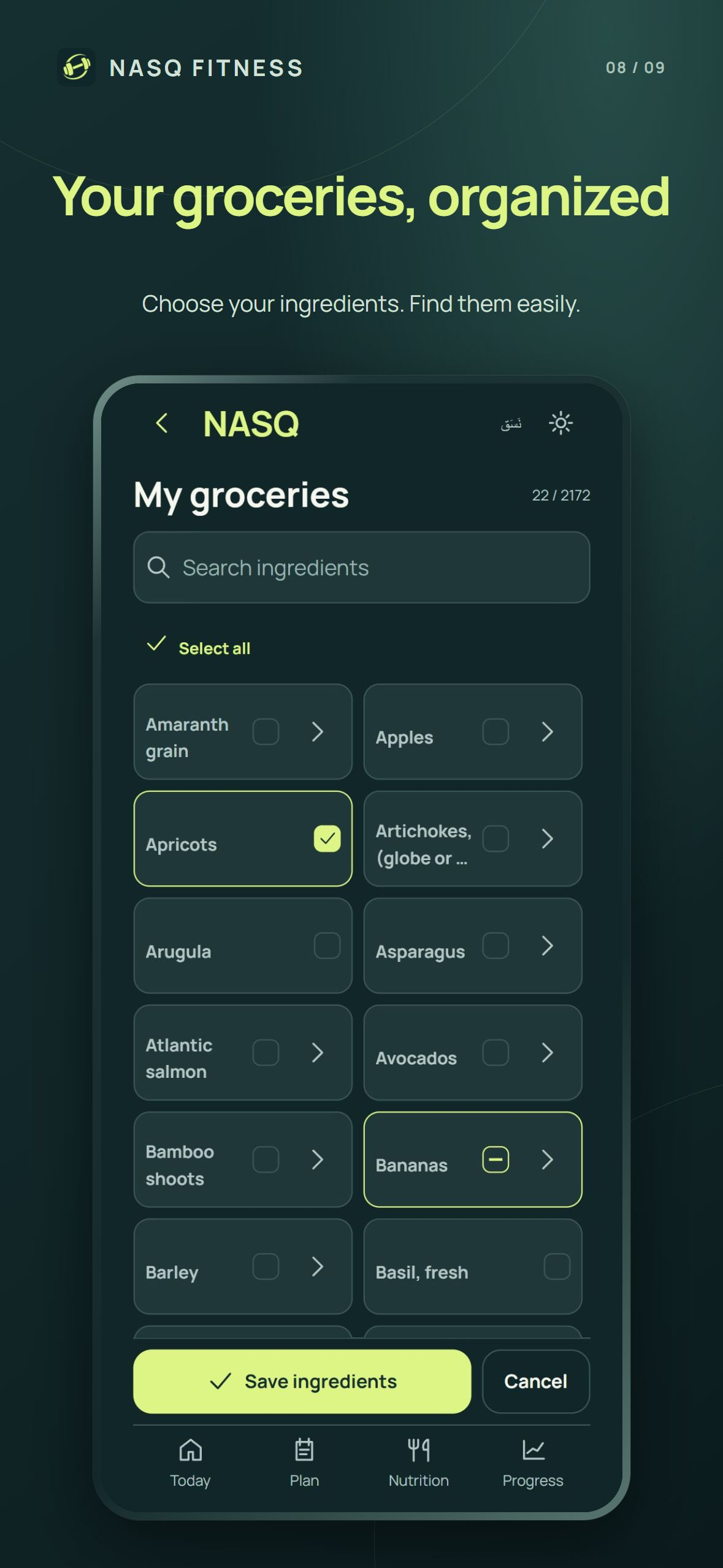 NASQ grocery selection showing ingredient choices